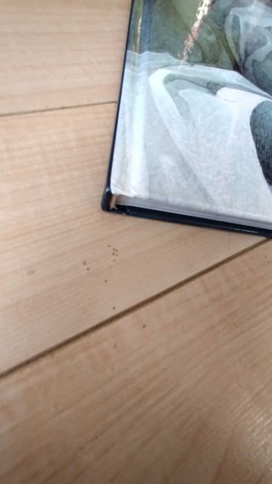 Stefan Rybi malarz Album UNIKAT