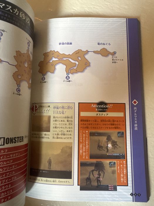 Final fantasy XII guide i gra ntsc J
