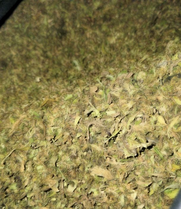 Susz CBD od producenta zmielony joint PreRolls 1kg