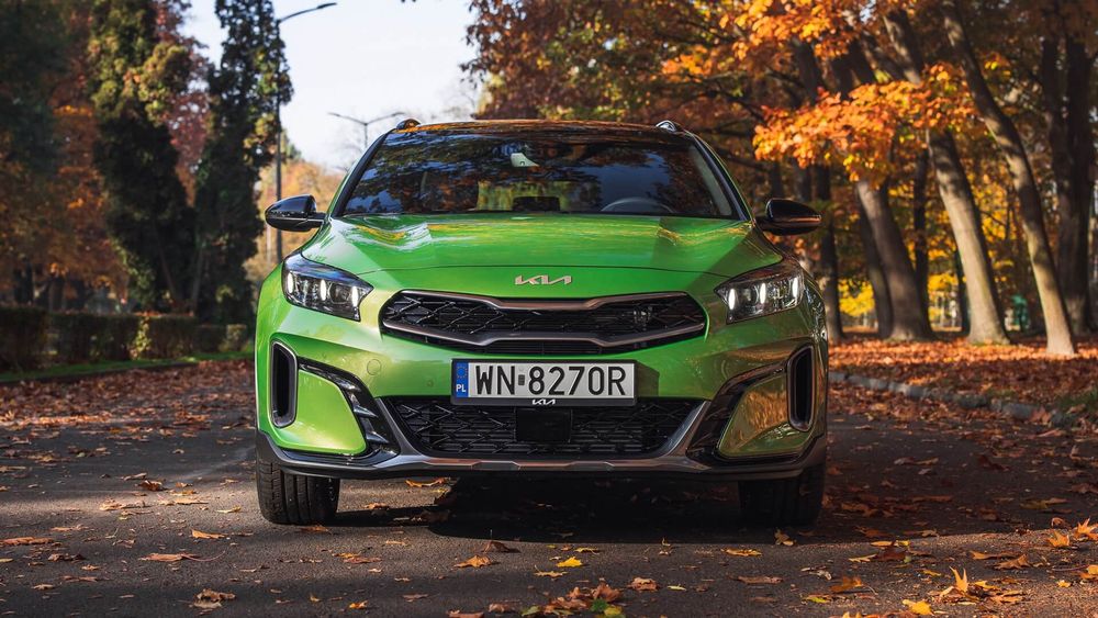 Zdjęcie w galerii numer 4