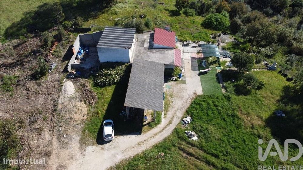 Terreno em Amiais de Baixo