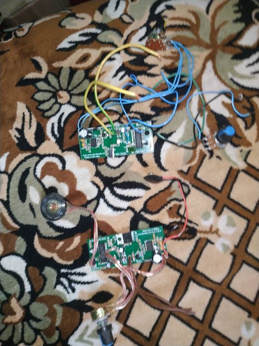 Лот плат металошукача пірат