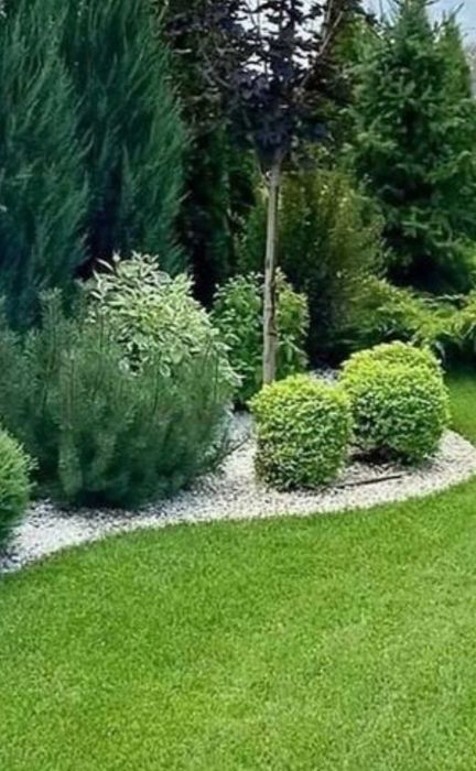 Wertykulacja trawnika