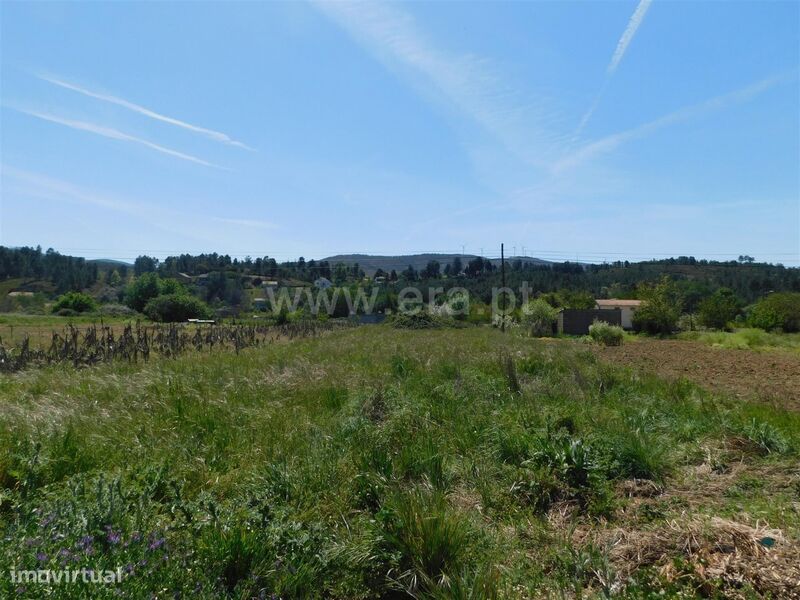 Terreno / Fundão, Castelejo