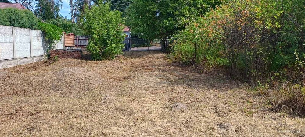 Ділянка недалеко від лісу