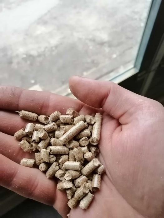 Pellet dębowy 6mm producent