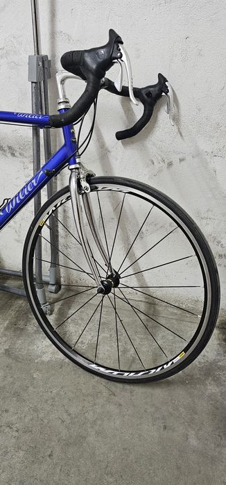 Willier Triestina Clássica