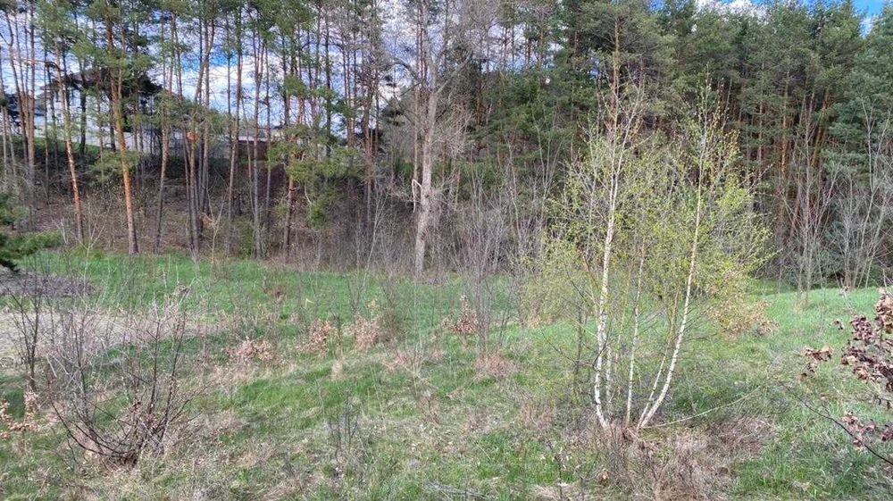 Обухівский р-н, с.Нещерів ділянка 12 соток с виходом в ліс