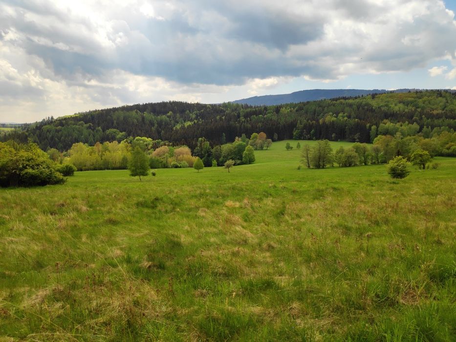 Dzialka budowlana