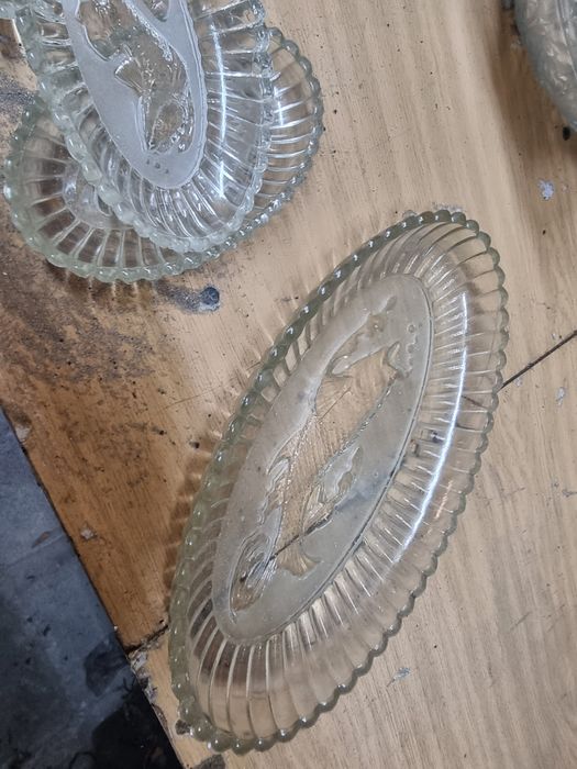 Talerzyki sledziowki