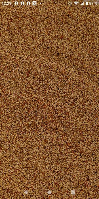 Пилок травень 2025