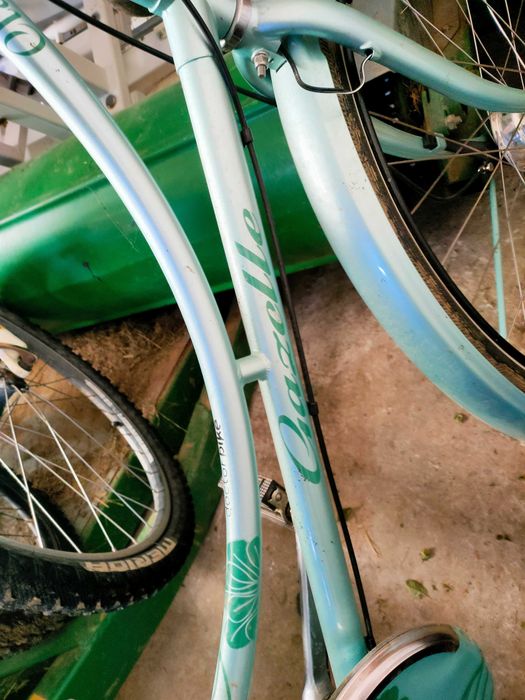 Rower damski Gazelle z osprzętem Nexsus przód i tył