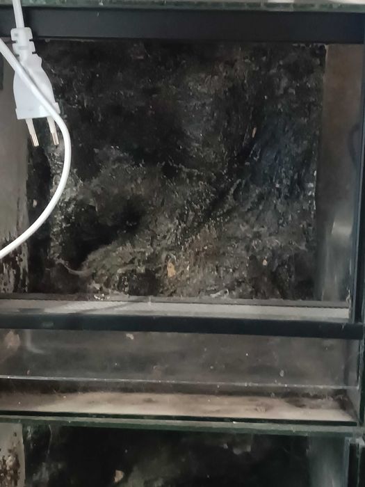 Terrarium 25x25x30