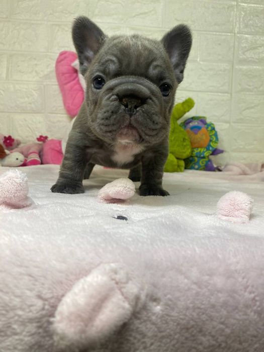 Найгарніший хлопчик