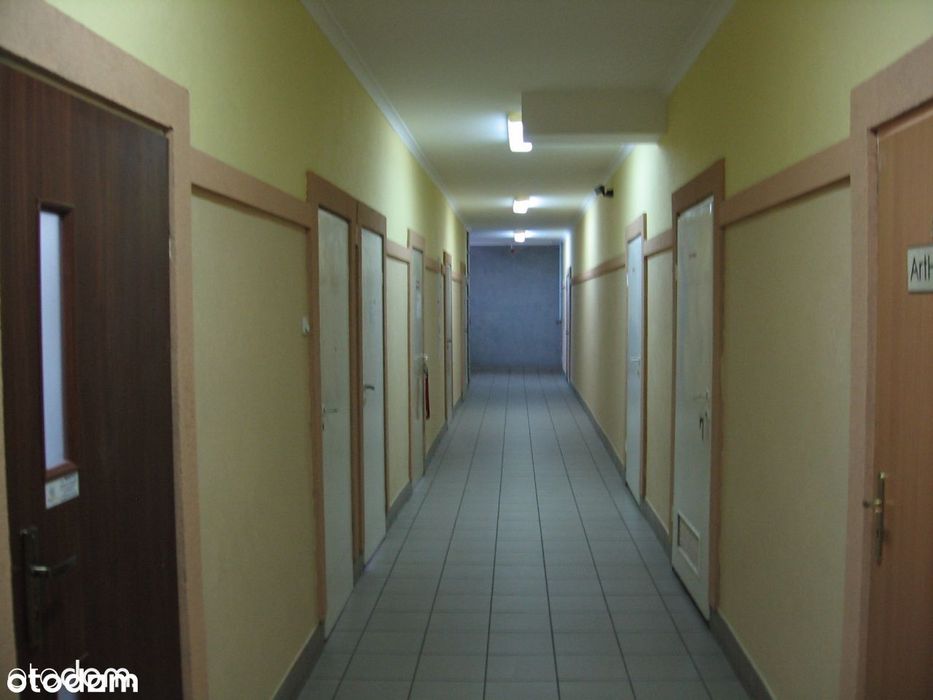 Zdjęcie 5
