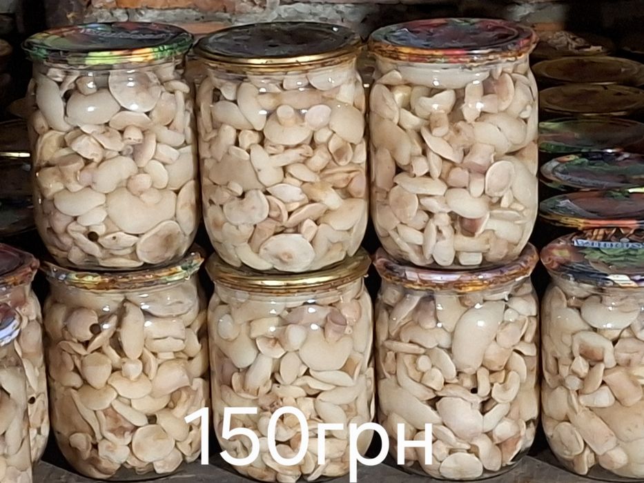 Гриби сушені та мариновані