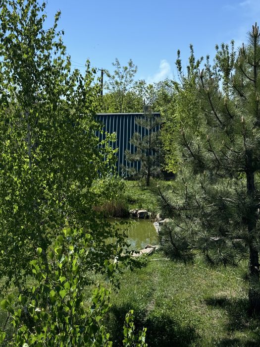 Готовий бізнес: 3 ділянки з житловим будинком