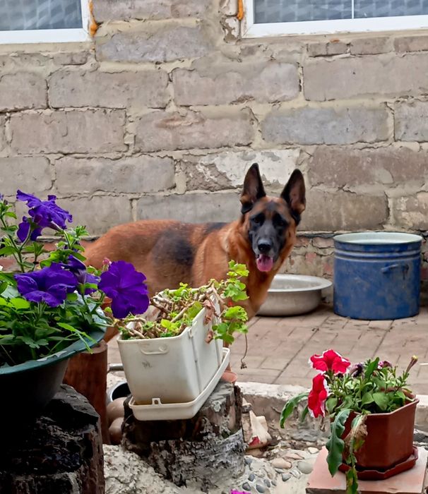 Девочки и мальчики от красивой,яркой пары