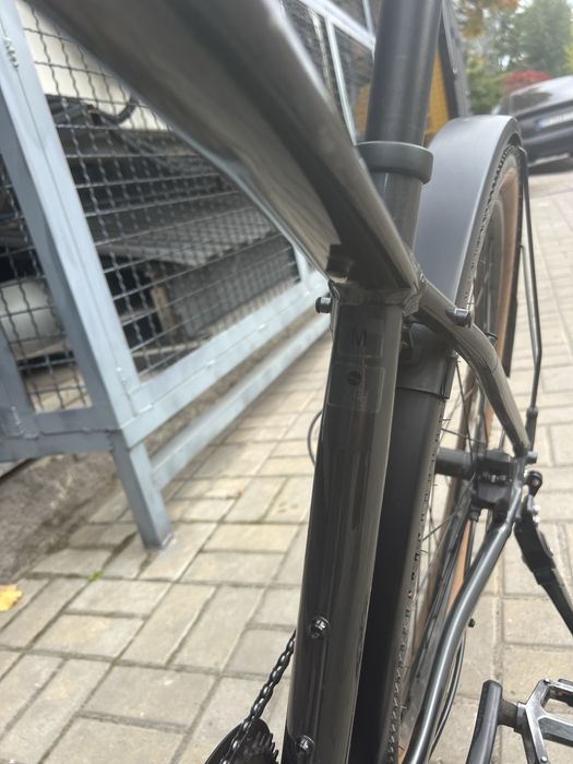 Trek Dual sport 2 Gen5 (2024)