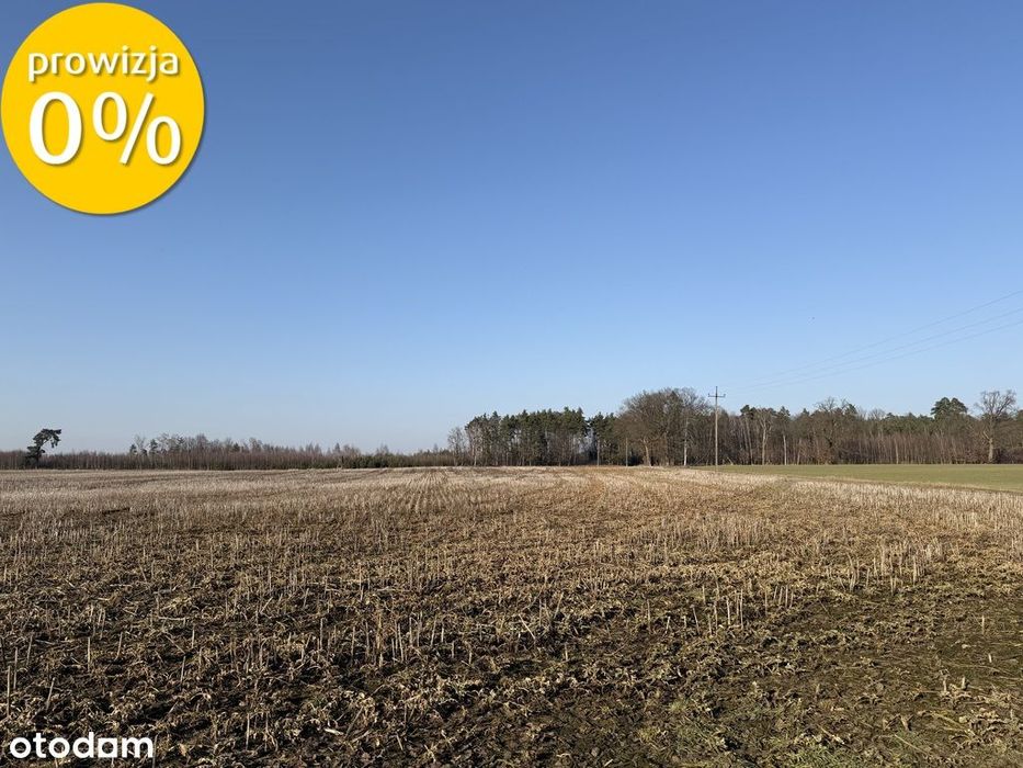 7,5 ha | Zajączkowo, gm. Pniewy I grunty rolne