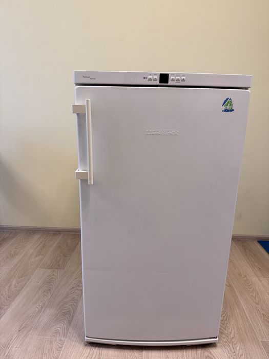 Морозильна камера Liebherr GNP2076/20 NoFrost