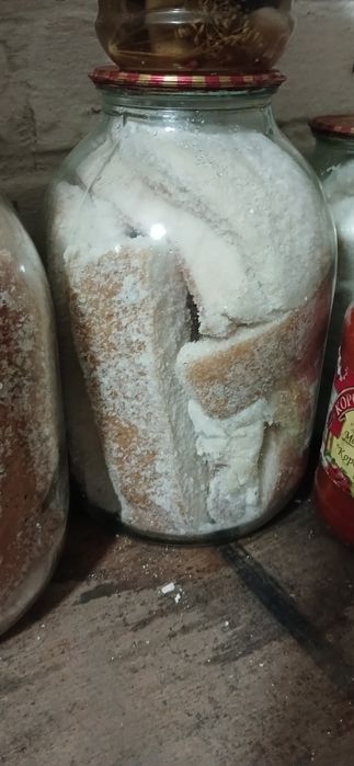 Продам сало солоне