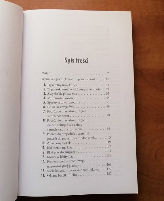 Książka „Krowy w labiryncie i inne eksploracje matematyczne”, stan bdb