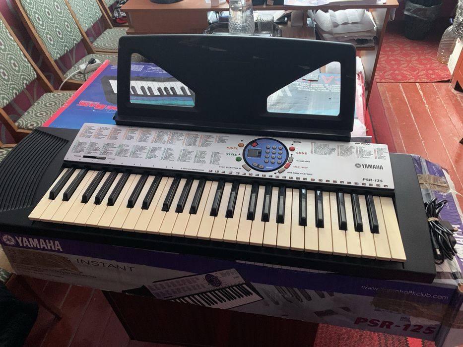 Синтезатор Yamaha psr 125 і Casio CA100