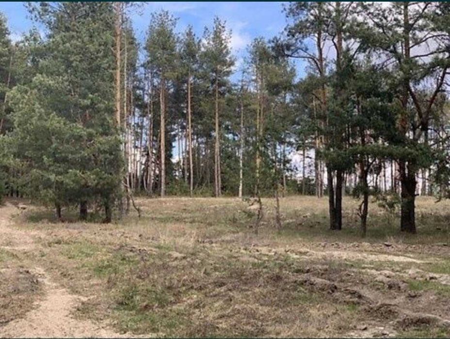 Великий масив землі під Забудову біля Житомирської траси