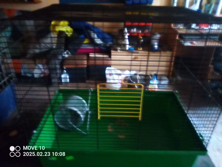 Klatka na chomika  i tp karuzela