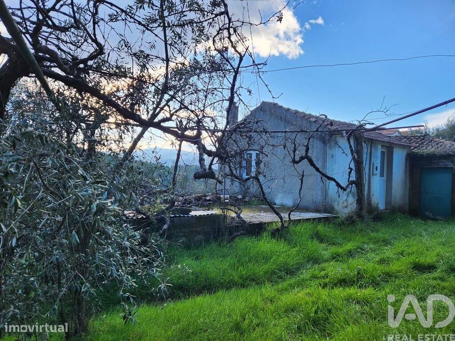 Quinta T3 em Souto da Casa de 186 m2