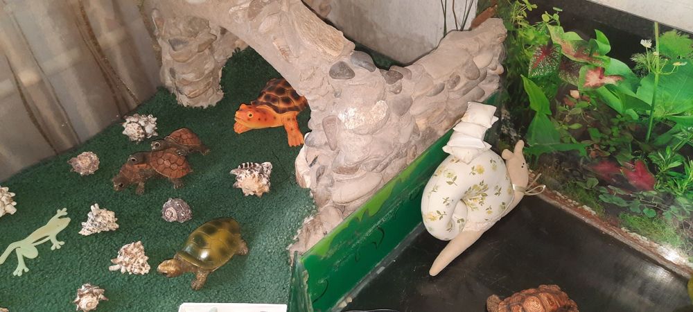 Аквариум-террариум