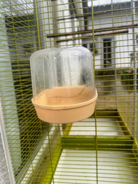 Vende se Gaiola e acessórios