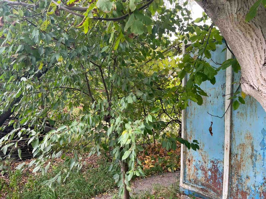 Продам земельну ділянку с/г призначення у Турбівському масиві 2816