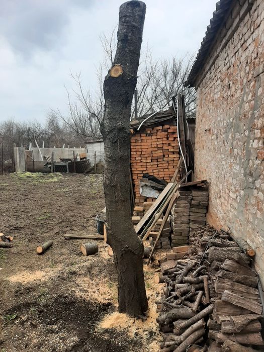 Слеб. Черешня червона. Розміри на фото