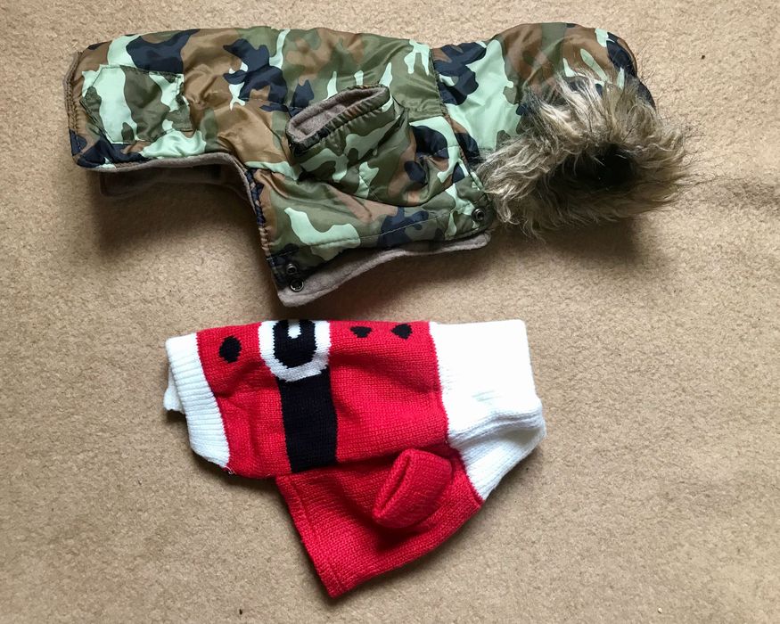 Одежда для  маленькой собаки , куртка с капюшоном