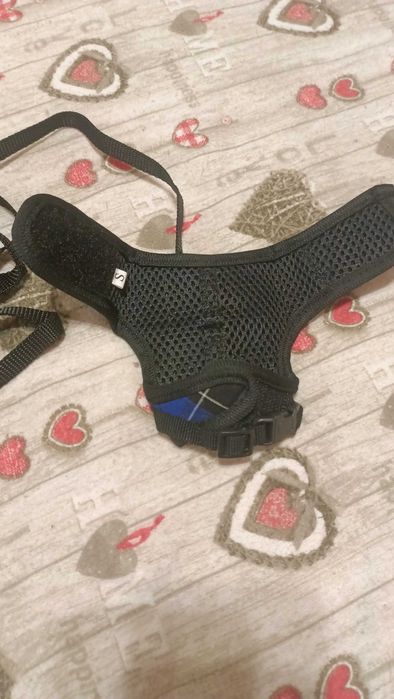 Повідець та шлея для щура