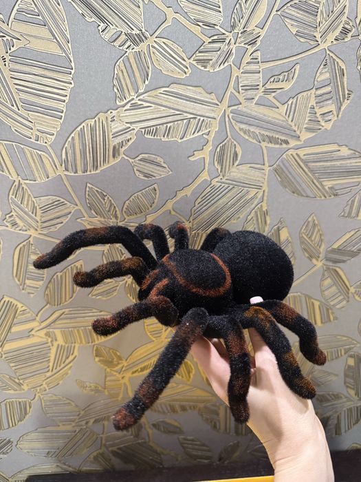 Паук на управлении , тарантул , павук на радіокеруванні, інтерактивний