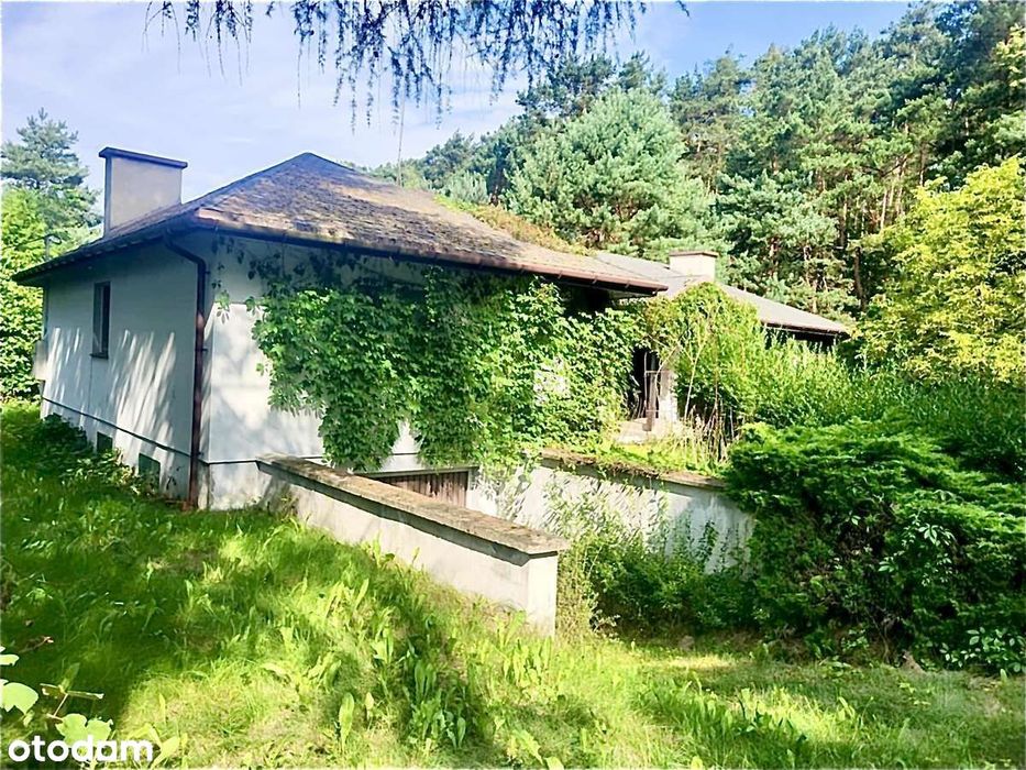 Twój zielony azyl nad wodą w Sulejowie!