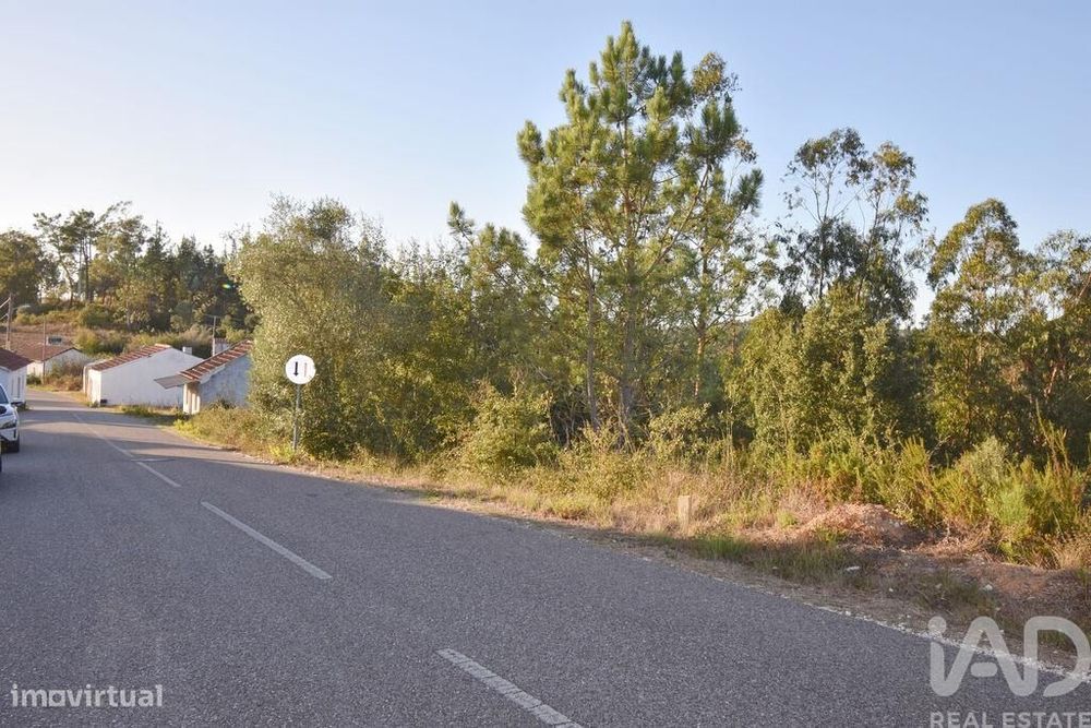 Terreno para construção em Pelariga