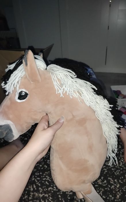 Hobby horse fiord