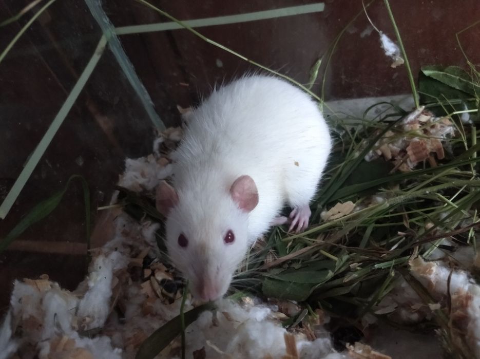 Терміново продам