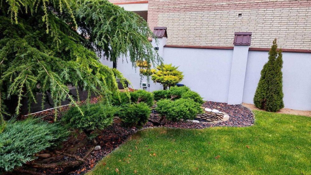 Дом на Даче Ковалевского (155-512)