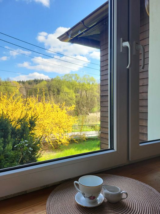 FERIE! Zieleniec!  DOM z prywatnym LASEM na wyłączność