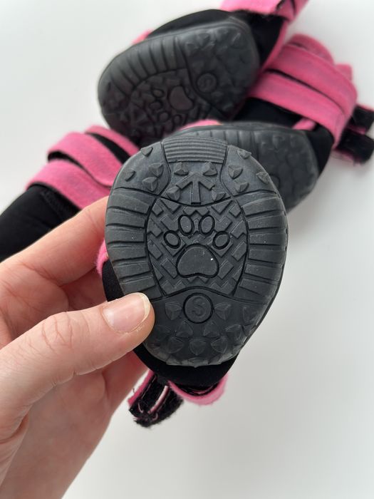 взуття для собаки