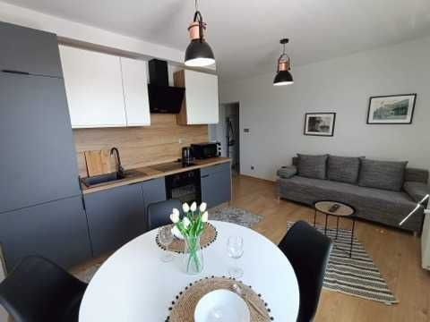 Katowice nowe duże apartamenty! Także na godziny !