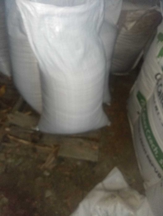 Sprzedam sucha kukurydzę i zboża