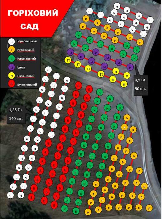 Продам будинок в с.Івківці + 1,85га горіхового саду