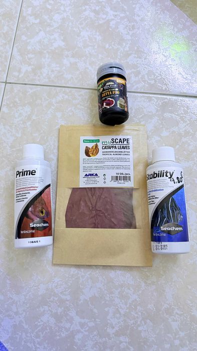 Aquário 40L plantado, material premium + acessórios (2 Neritinas)