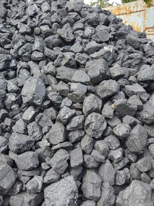 Orzech klasa 25 Mj/KG Polski od Ręki !